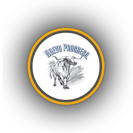 Primary Raster logo